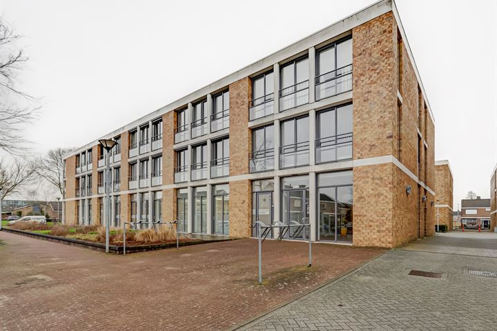 Bekijk foto 1 van Merelstraat 52