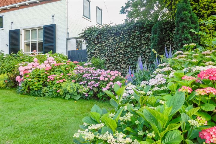 Bekijk foto 48 van Middelburgsestraat 112