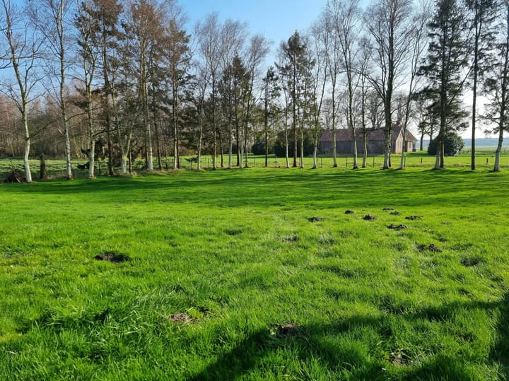 Photo 20 of Zuideropgaande 157-A