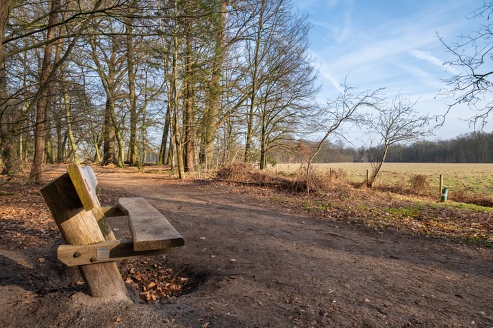 Bekijk foto 38 van Troelstraweg 40