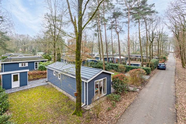 Bekijk foto 3 van Hof van Halenweg 2-658