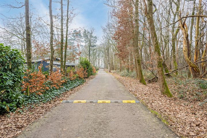 Bekijk foto 23 van Hof van Halenweg 2-658