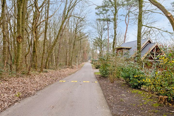 Bekijk foto 25 van Hof van Halenweg 2-658