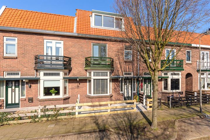 Bekijk foto 1 van Paulus Potterstraat 22