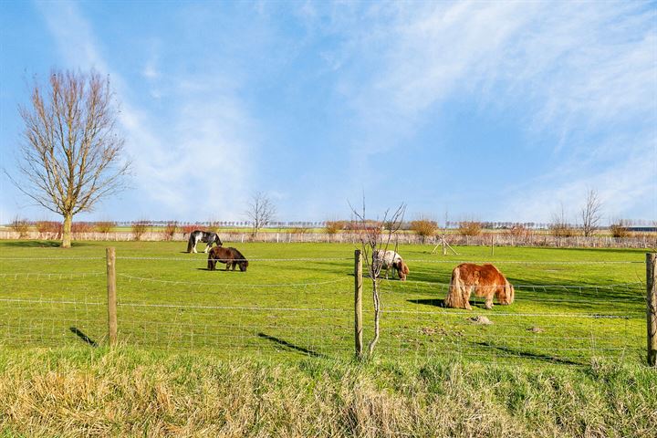 Bekijk foto 4 van Peuterdijk 44-A