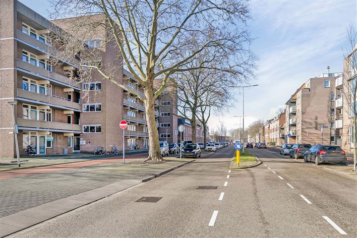 Bekijk foto 12 van Noordsingel 14