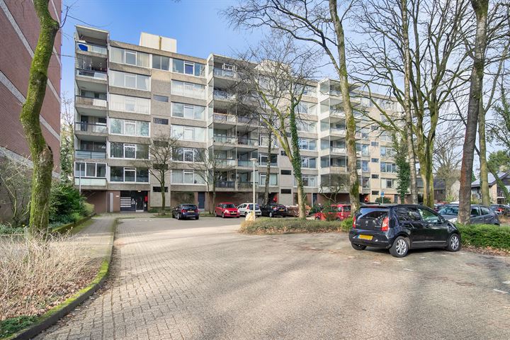 Bekijk foto 1 van De Zalmen 34