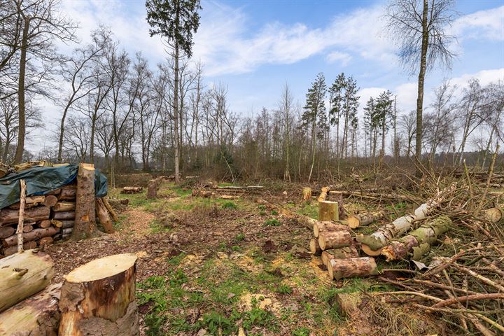 Bekijk foto 35 van Hengeloseweg 3