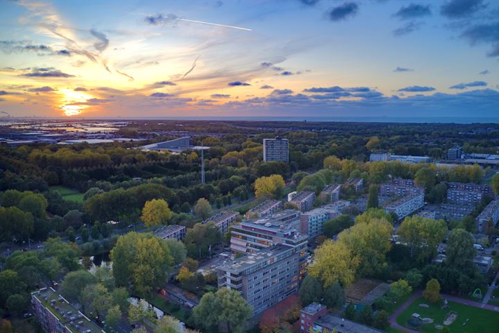 Bekijk foto 7 van Randveen 620