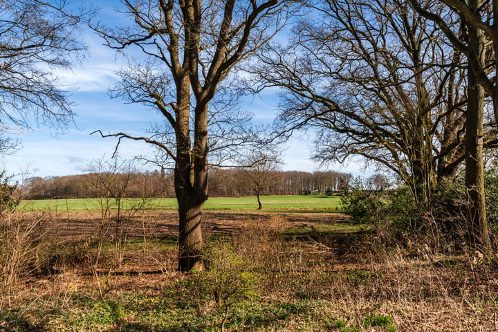 Bekijk foto 4 van Diekink 7