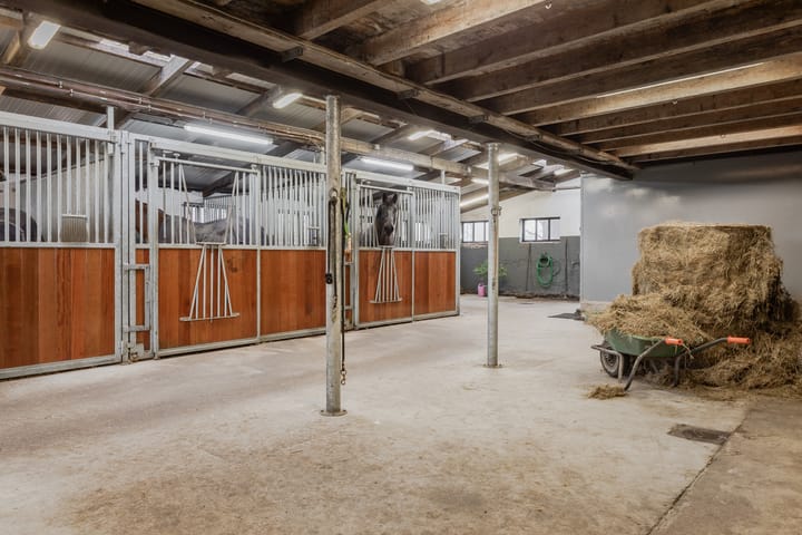 Photo 6 of Damkensvoetpad 1