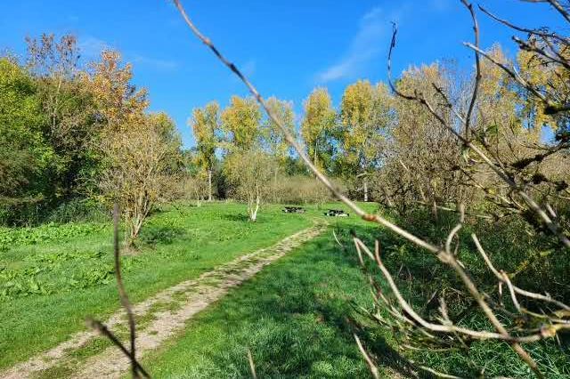 Bekijk foto 17 van Musweg (Bouwnr. 48)