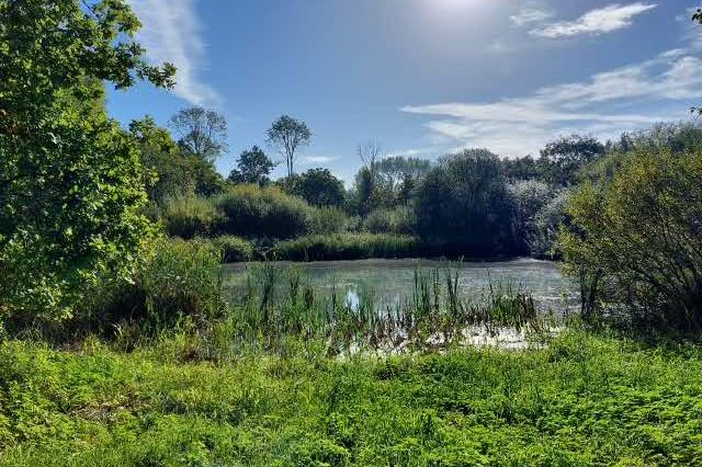 Bekijk foto 18 van Musweg (Bouwnr. 48)