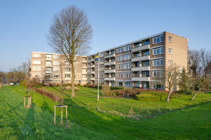 Bekijk foto 4 van Zuiderweg 204