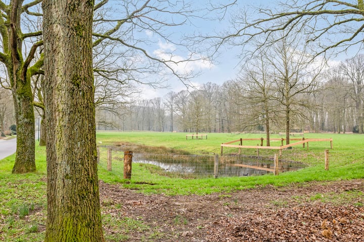 Bekijk foto 4 van Burgemeester van der Feltzweg 8