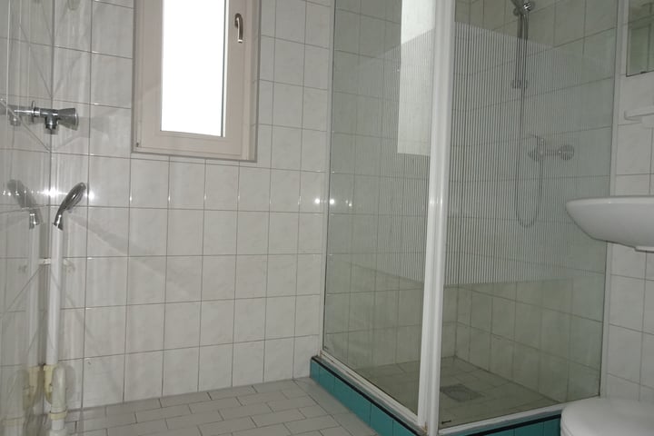 Foto 4 van Spreeuwenlaan 95
