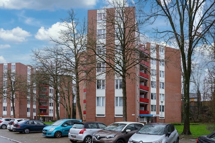 Bekijk foto 1 van Berghofstraat 28