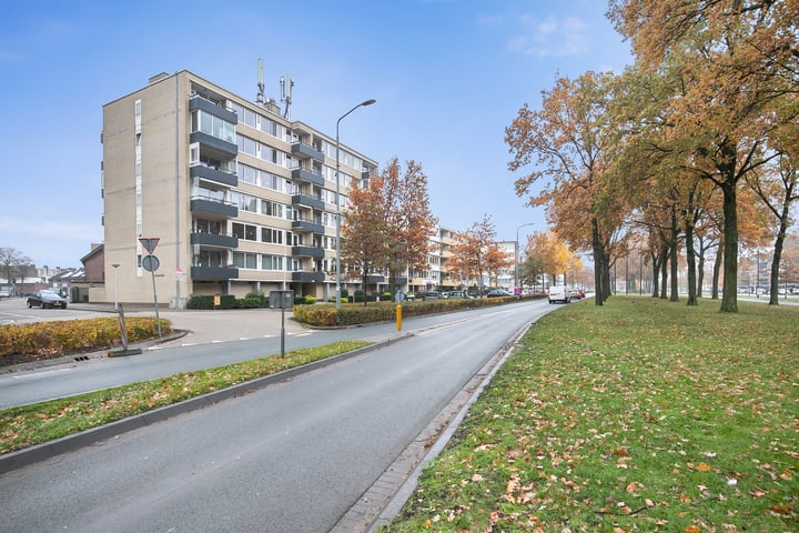 Bekijk foto 1 van Veldmaarschalk Montgomerylaan 405