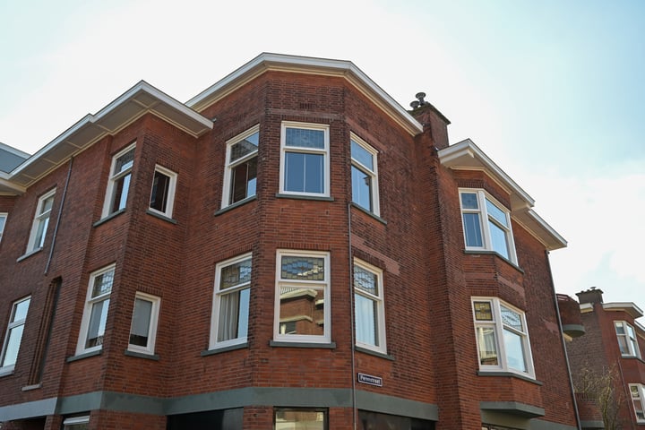 View photo 40 of Abrikozenstraat 152