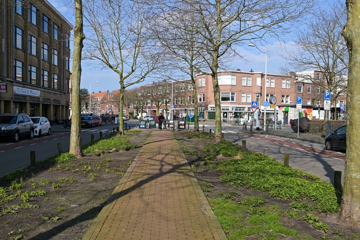 View photo 47 of Abrikozenstraat 152