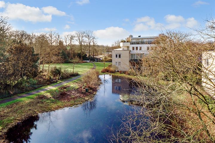 Bekijk foto 5 van Burgemeester Fabiuspark 177