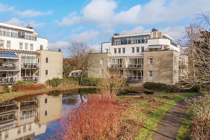 Bekijk foto 31 van Burgemeester Fabiuspark 177