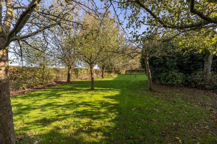 Foto 47 van Holderbergsestraat 2