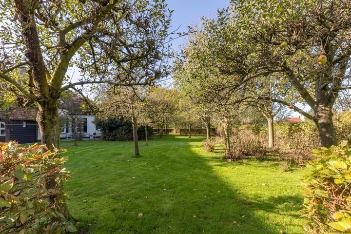 Foto 49 van Holderbergsestraat 2