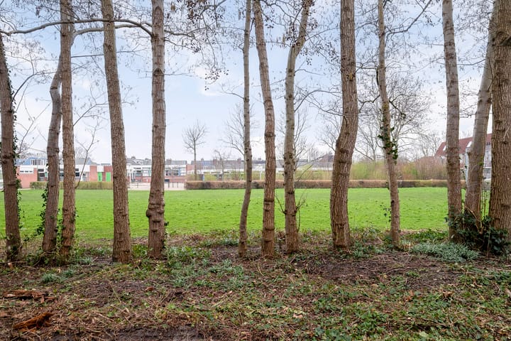 Photo 28 of Medeaschouw 44