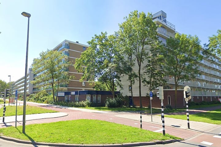 Bekijk foto 2 van Merelstraat 214