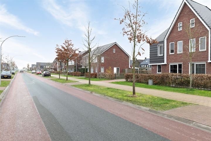 View photo 42 of Het Noorderlicht 19