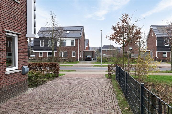 View photo 43 of Het Noorderlicht 19