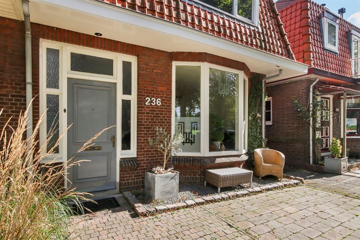 Bekijk foto 46 van Reeweg Oost 236