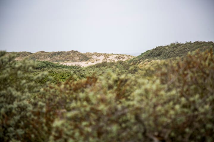 Foto 42 van Nieuwstraat 67