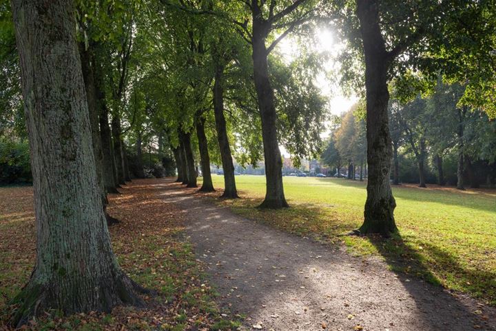 Bekijk foto 43 van Zaanenlaan 23