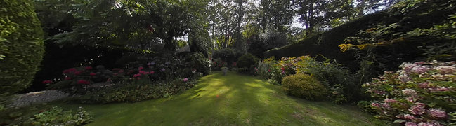 View 360° photo of Achtertuin of Lange Kerkdam 78