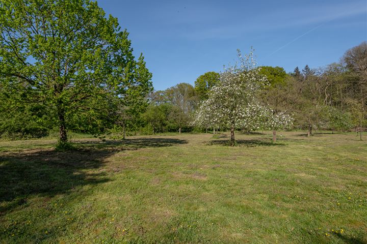 Bekijk foto 51 van Beekseweg 6