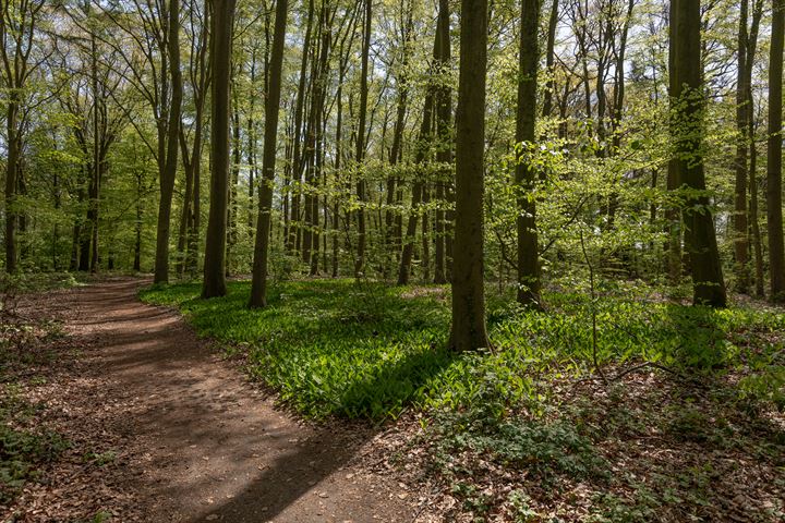 Bekijk foto 60 van Beekseweg 6