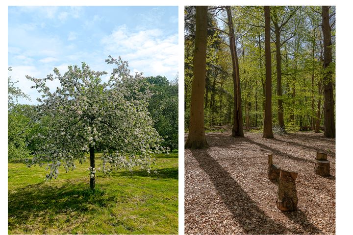 Bekijk foto 58 van Beekseweg 6