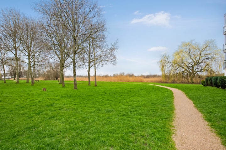 Bekijk foto 31 van Aziëlaan 235