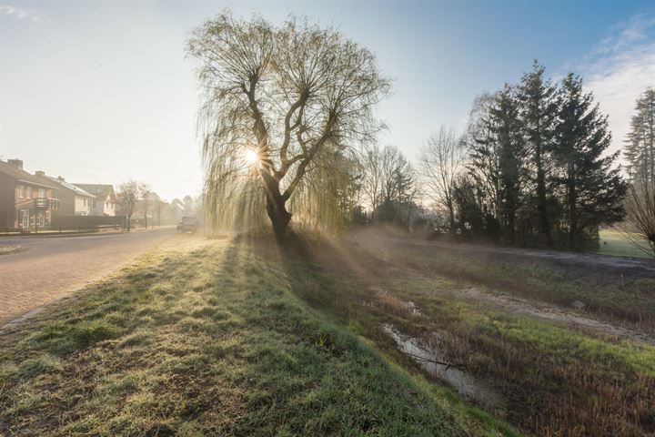 Bekijk foto 38 van Vinkenbos 37