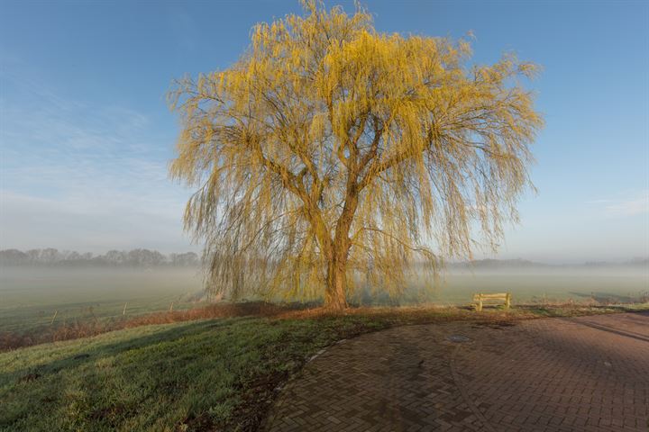 Bekijk foto 45 van Vinkenbos 37