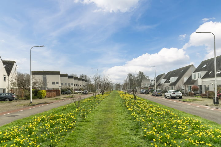 Bekijk foto 46 van Bijsterveldenlaan 29