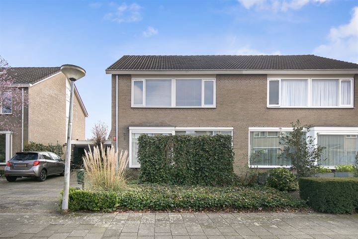 Bekijk foto 45 van Hildebrandstraat 46