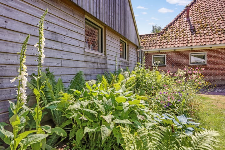 Foto 75 van Lutswâl 11