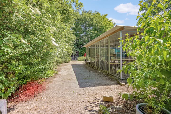 Foto 73 van Lutswâl 11