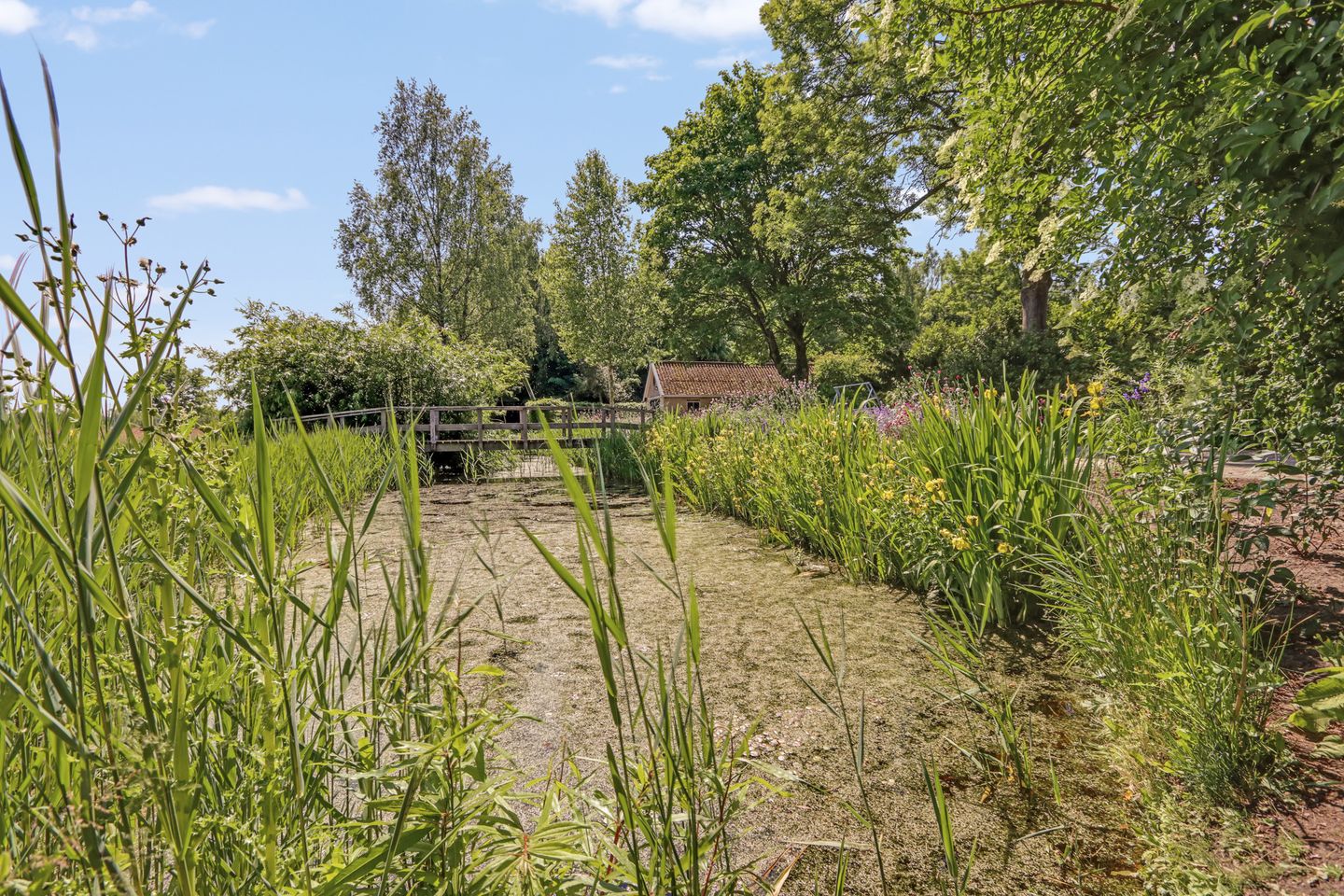 Photo 65 of Lutswâl 11