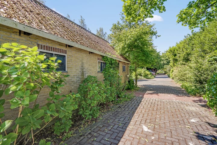 Foto 61 van Lutswâl 11