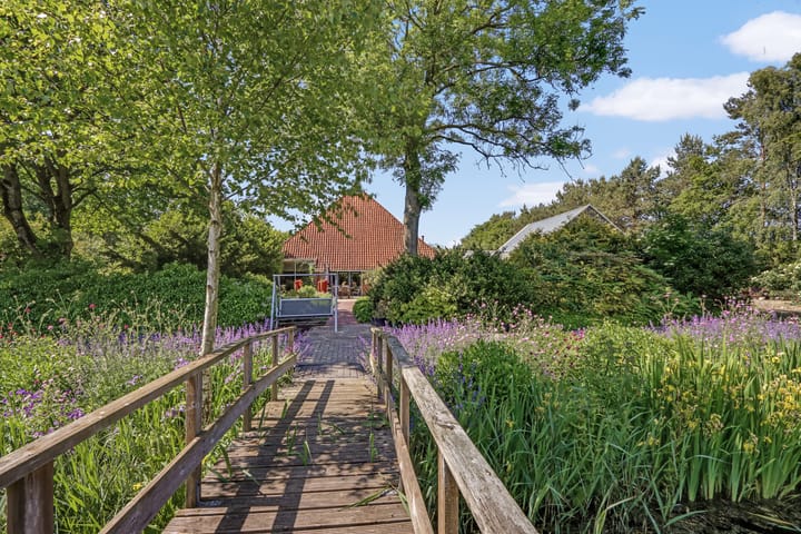 Foto 63 van Lutswâl 11