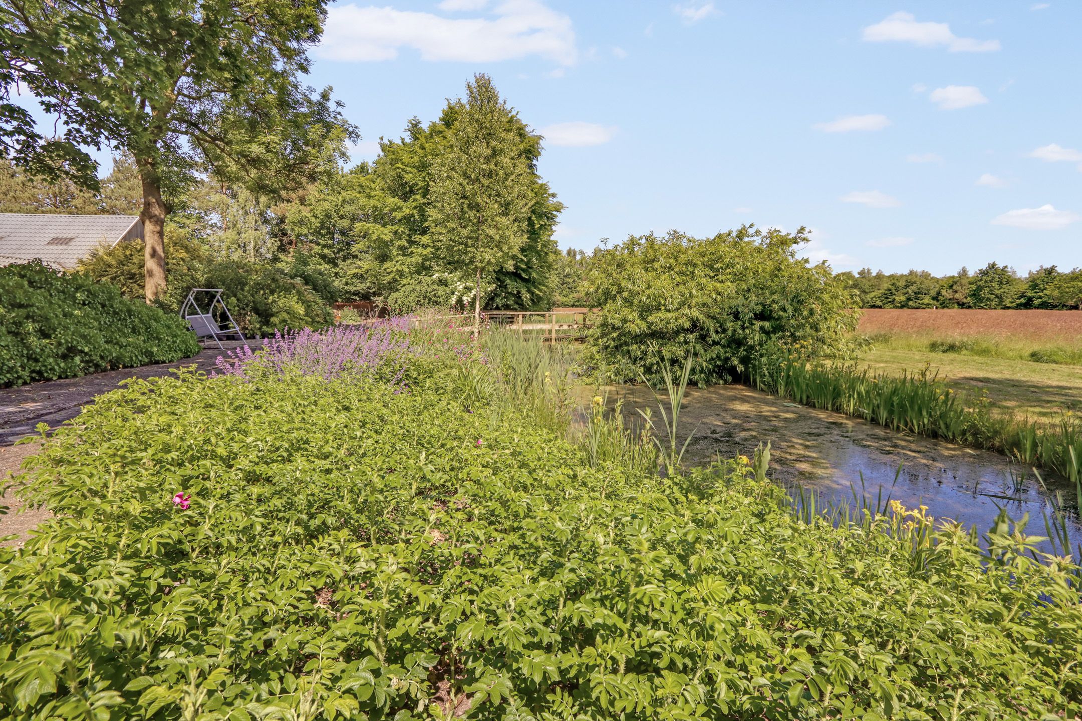 Photo 60 of Lutswâl 11
